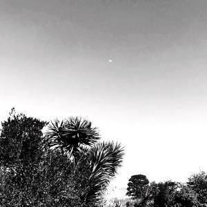 Meet your Posher, Lori-ann